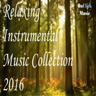 Relaxing Instrumental Music Collection 2016 by Satish