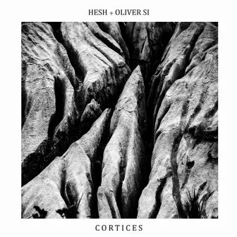 Cortices by Oliver Si