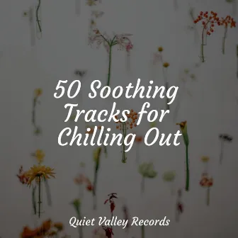 50 Soothing Tracks for Chilling Out by Sleep Sounds Rain