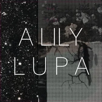 Lupa by A Lily