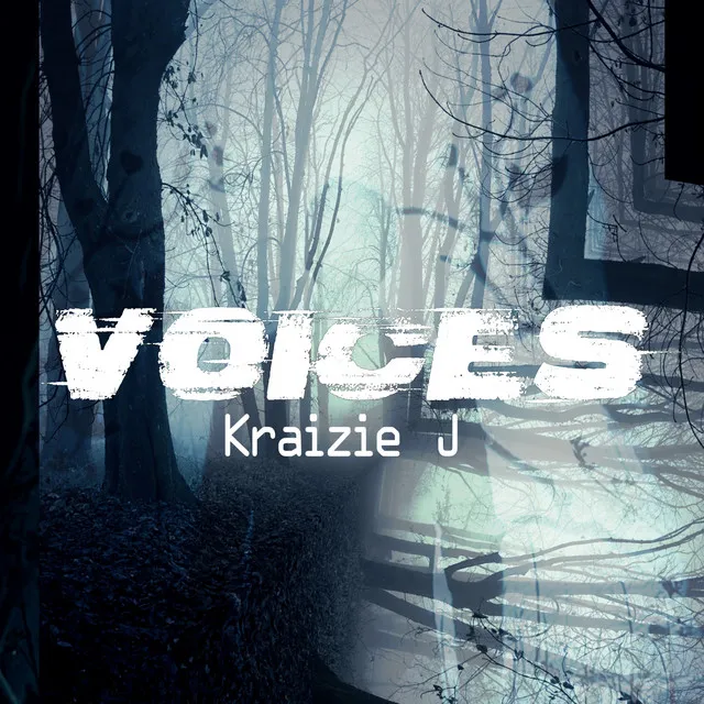 Voices