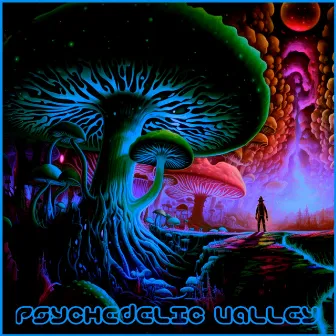 Psychedelic Valley by Toadstool