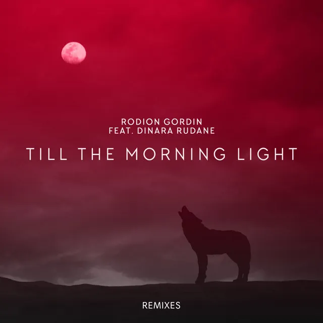 Till The Morning Light - Edgar Orn Remix