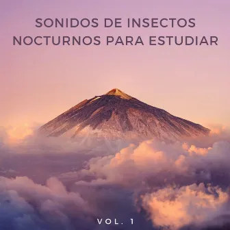 Sonidos De Insectos Nocturnos Para Estudiar Vol. 1 by Musica Tranquila Para Estudiar