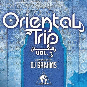 Oriental Trip, Vol. 3 (Compiled by DJ Brahms) by DJ Brahms