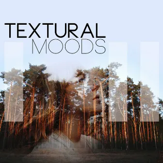 Textural Moods by Stephen Root