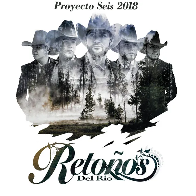 Proyecto Seis 2018