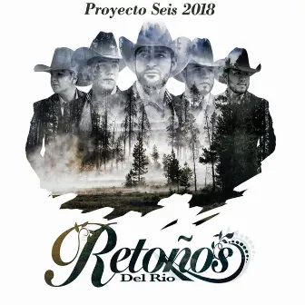 Proyecto Seis 2018 by Retoños Del Rio