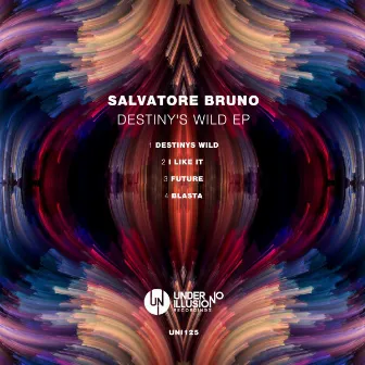 Destiny's Wild by Salvatore Bruno