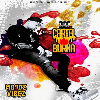 Moodz & Vibez by Cartel Burna