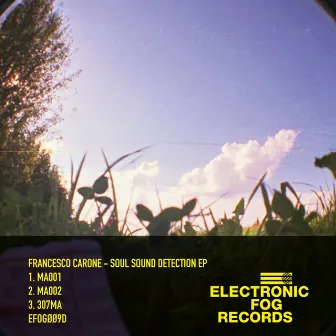 Soul Sound Detection EP by Francesco Carone