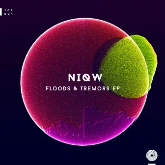 Floods & Tremors EP by NiQW