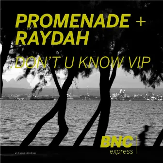 Dont U Know by Raydah