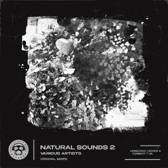 Natural Sound 2 by Orangutan Tiddies