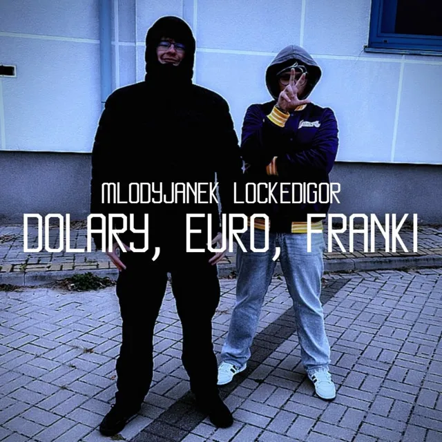 Dolary, euro, franki