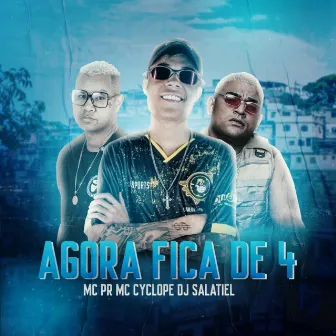 Agora Fica De 4 by DJ Salatiel