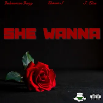 She Wanna by Bakerman Bagz