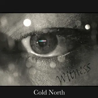 Witness by Cold North