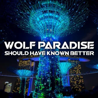 Should Have Known Better (Radio Edit) by Wolf Paradise