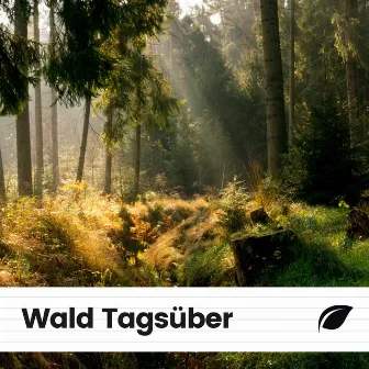 Wald Tagsüber by Naturgeräusche