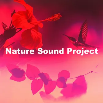 Nature Sound Project by The Sound of Danish Nature