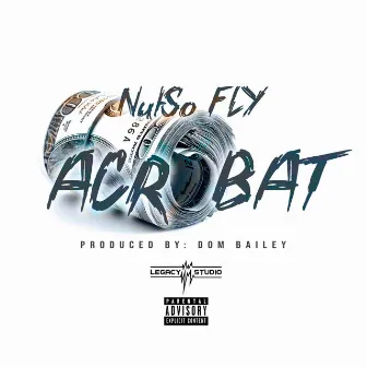 Acrobat by Nutso Fly