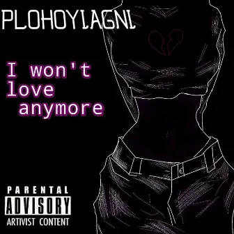 I Won't Love Anymore by 