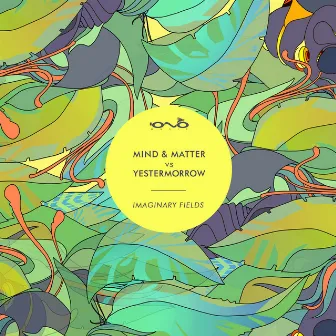 Imaginary Fields by Mind & Matter