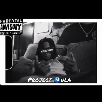 Project Mula by Stunny Mula