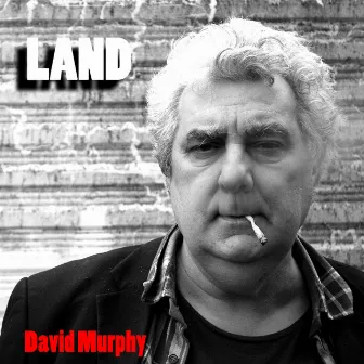 Land by David Murphy