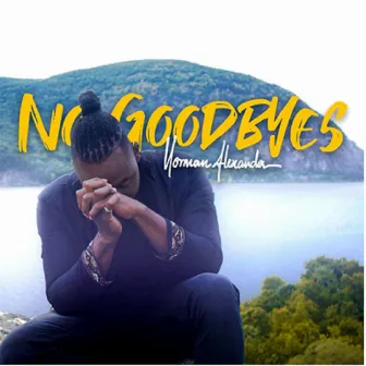 No Goodbyes by Norman Alexander