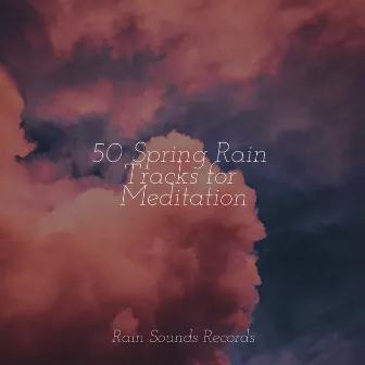 50 Spring Rain Tracks for Meditation by Unknown Artist