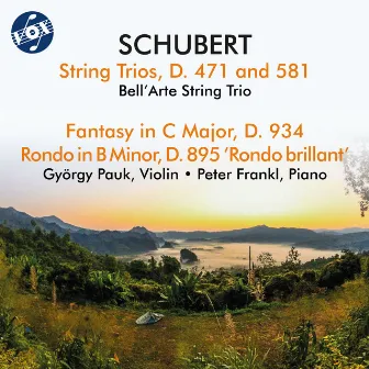 Schubert: Chamber Works by Bell'Arte String Trio