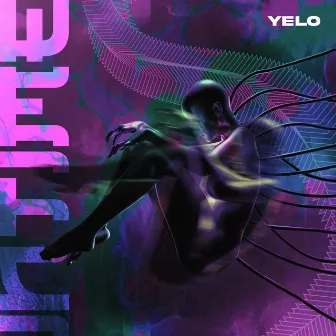 Intime by Yelo