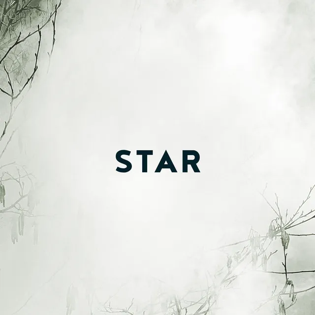 Star (Radio Edit)