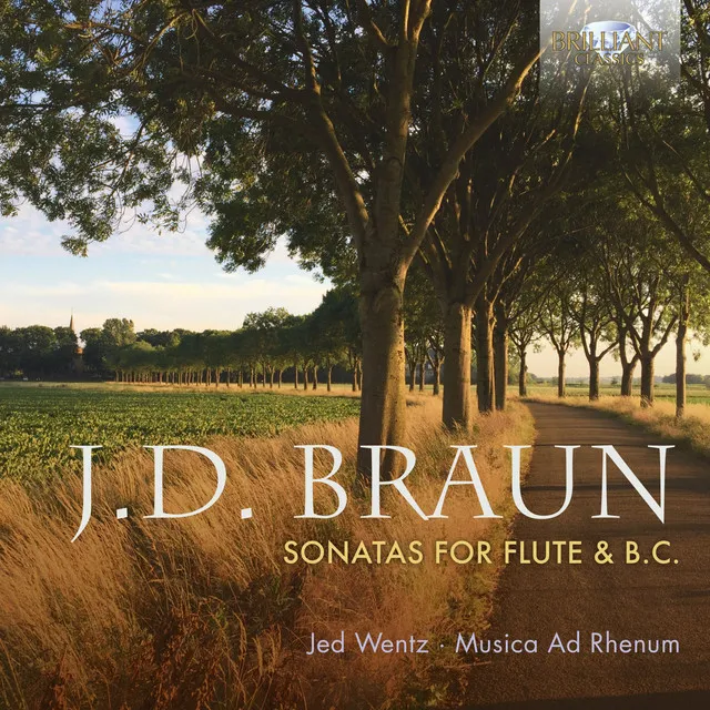 Flute sonata seconda in G Major, Op. 1: I. Adagio