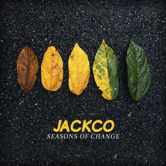 Seasons of Change by Jackco