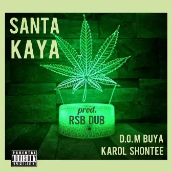 Santa Kaya by Karol Shontee