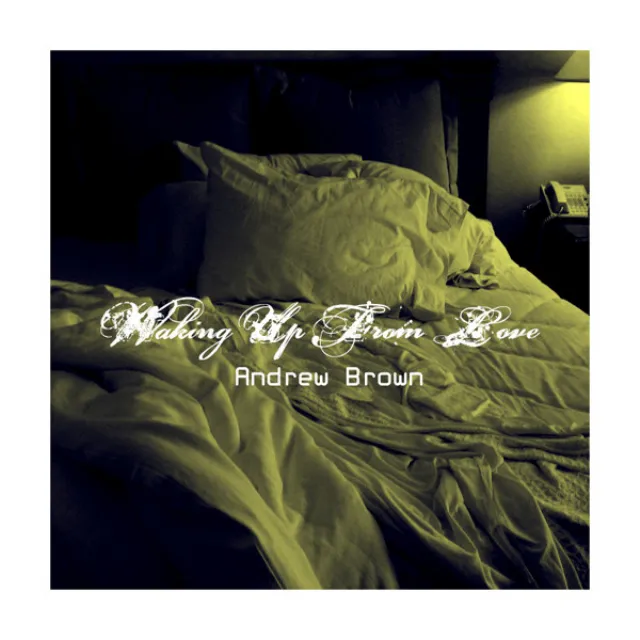 Waking Up From Love - Single