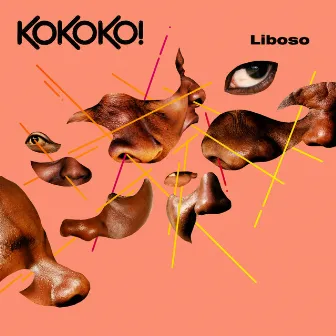 Liboso by KOKOKO!