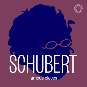 Schubert: Famous Pieces by Copenhagen Philharmonic Orchestra