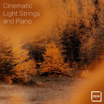 Cinematic Light Strings And Piano by Cato Frederick Neustatter Hoeben