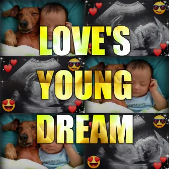 Love's Young Dream by Unknown Artist