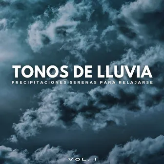 Tonos De Lluvia: Precipitaciones Serenas Para Relajarse Vol. 1 by Musicoterapia Relajante Zen