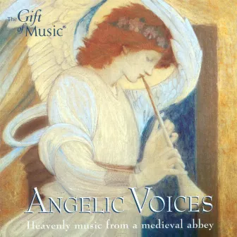 Hildegard Of Bingen: Choral Music (Angelic Voices - Heavenly Music From A Medieval Abbey) by Hildegard von Bingen