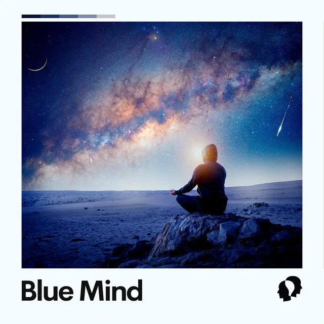 Blue Mind