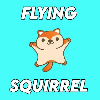 Flying Squirrel by Boots and Cats