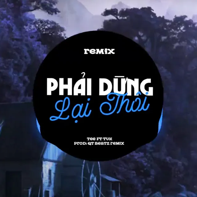 Phải Dừng Lại Thôi - QT Beatz Remix