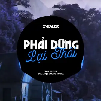 Phải Dừng Lại Thôi (QT Beatz Remix) by TEE