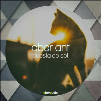 Puesta De Sol by Aber Ant